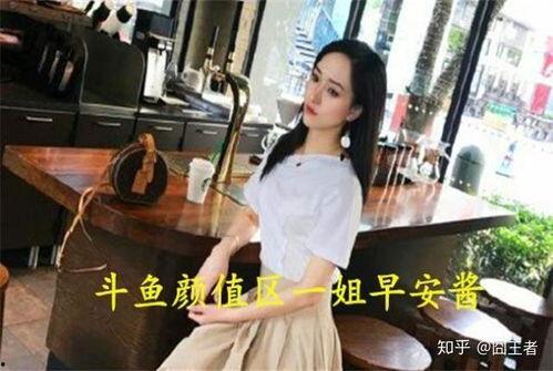 娱乐吃瓜酱摆烂人生,摆烂人生的轻松指南