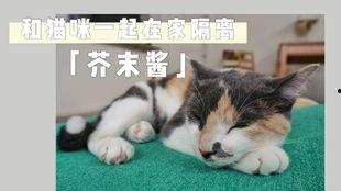 娱乐吃瓜酱布丁是只喵